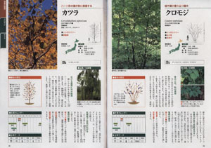 庭に植えたい樹木図鑑の画像