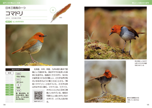鳴き声と羽根でわかる野鳥図鑑の画像