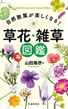 自然散策が楽しくなる！　草花・雑草図鑑の表紙