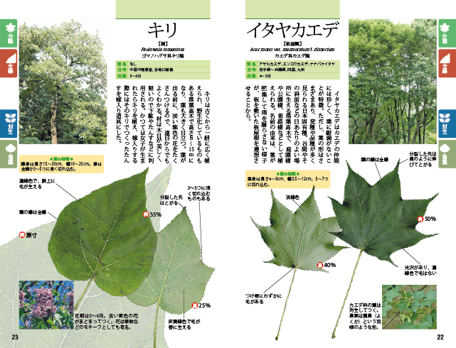 葉っぱで見わける樹木ハンドブックの画像