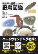 鳴き声と羽根でわかる野鳥図鑑｜株式会社 池田書店